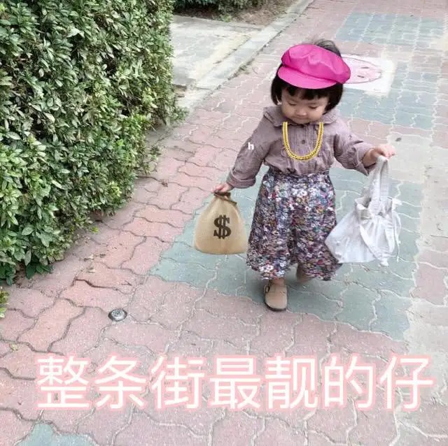 姐妹情深小猪佩奇表情包,无法自拔表情包小猪佩奇