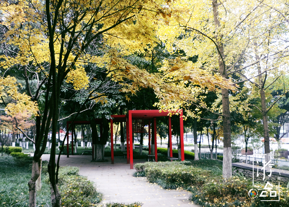 比小说更精彩的袍哥人生:当土匪,带绿帽,这个哈儿并不哈!