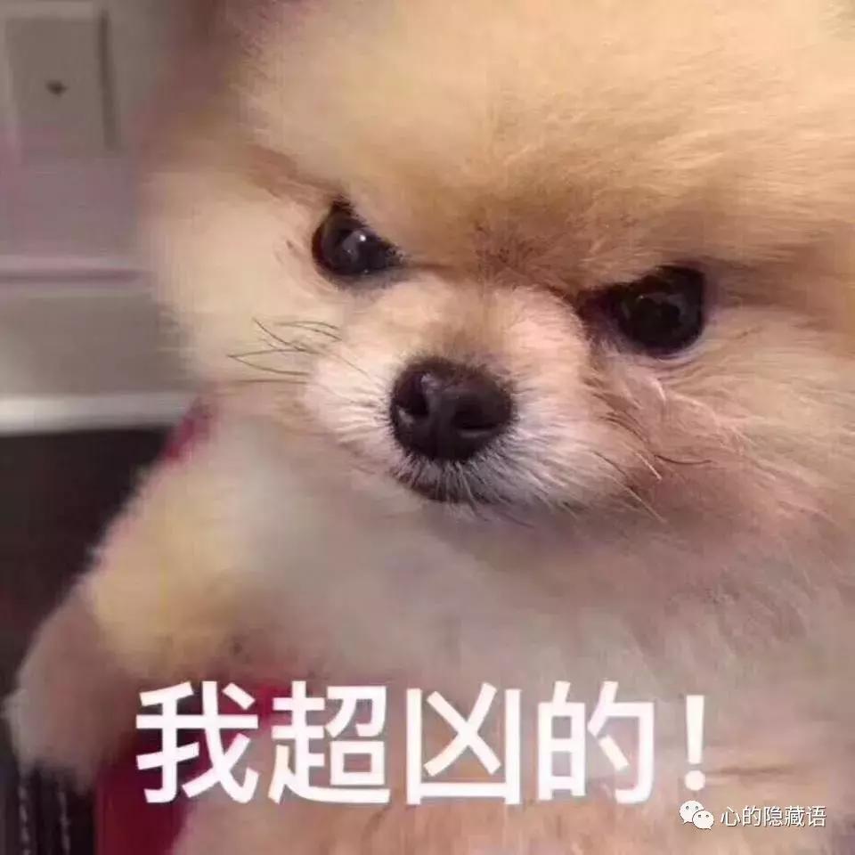 渡人如渡己渡己如渡人,渡人如渡己渡己也是渡人