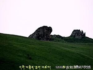 甘南则岔石林住宿,甘南则岔石林免票