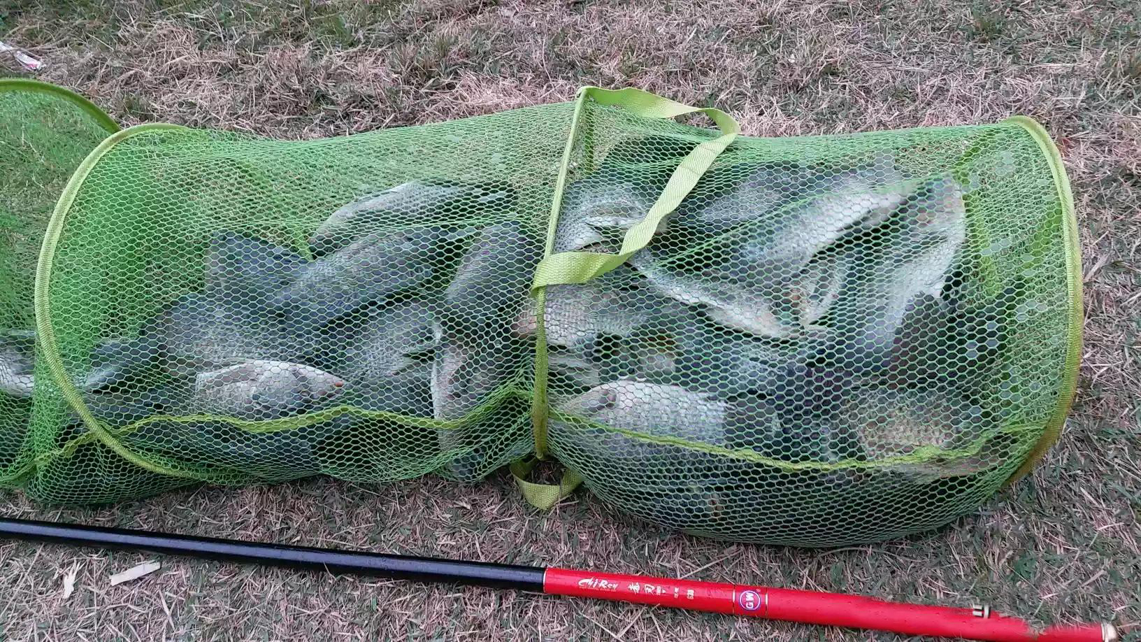 国内伽玛精工鱼竿跟日本的区别,日本鱼竿和国产鱼竿哪个好