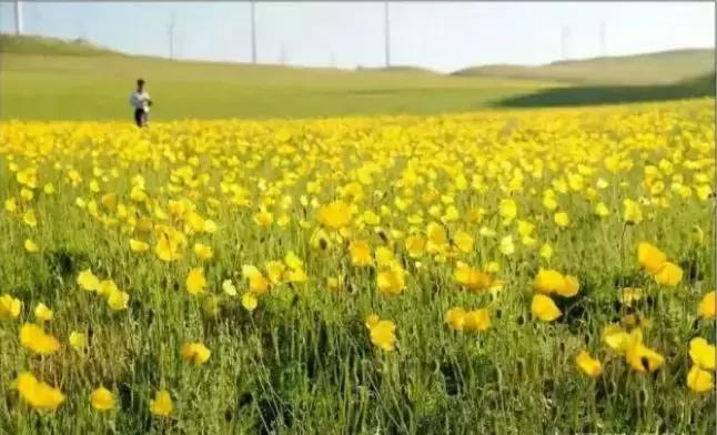 通辽好玩的景点排行榜,通辽霍林河景色