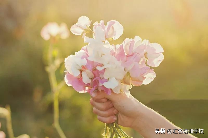 花艺十六种手法,流行花艺简单教学