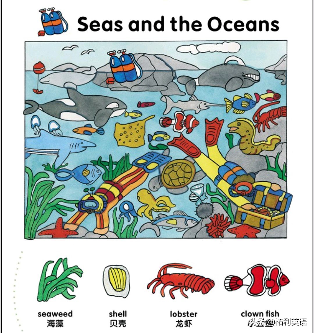 生活中常用的3000个英语单词短语,生活英语单词谐音大全