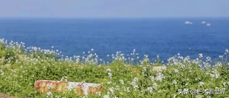 五一渔山岛旅游,五一渔山岛