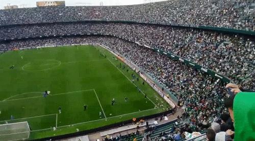 足球不仅仅是胜负！球场下起玩具雨，成千上万毛绒玩具落到球场内