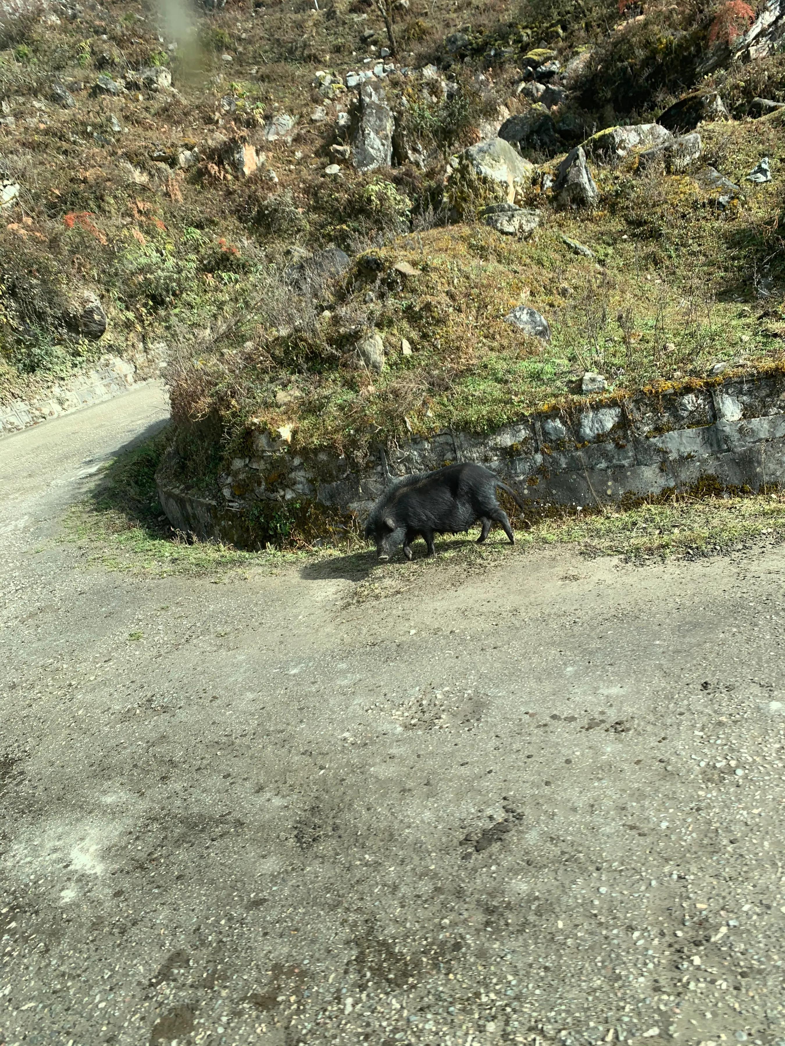 海螺沟燕子沟旅游攻略,海螺沟和燕子沟哪个更值得去