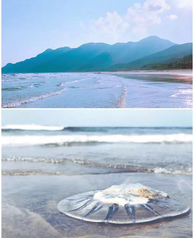 藏在广东的7个神秘小众海岛，美景如画！你听过5个算我输