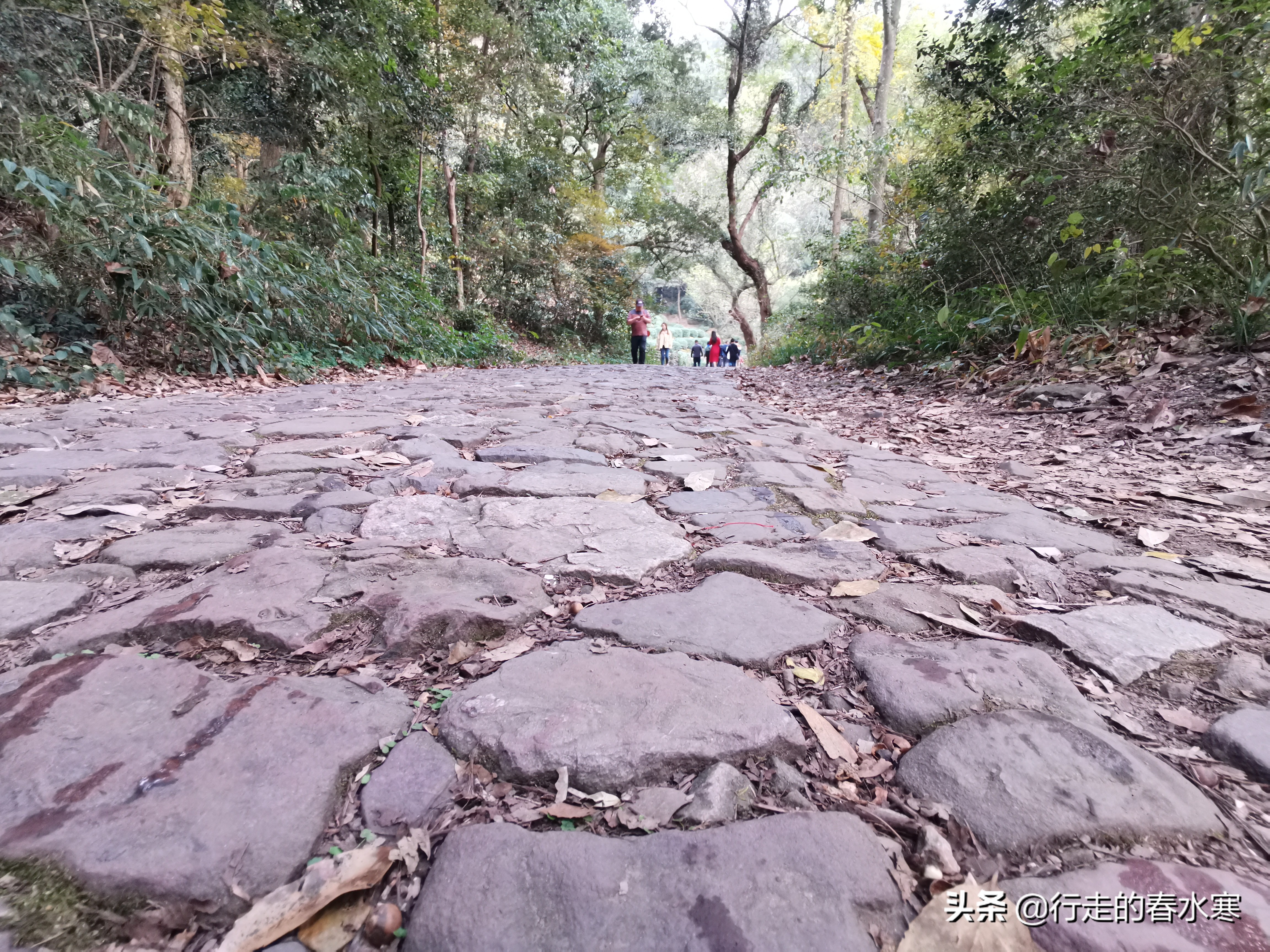 从九溪十八涧到西湖,九溪十八涧到云栖竹径多远