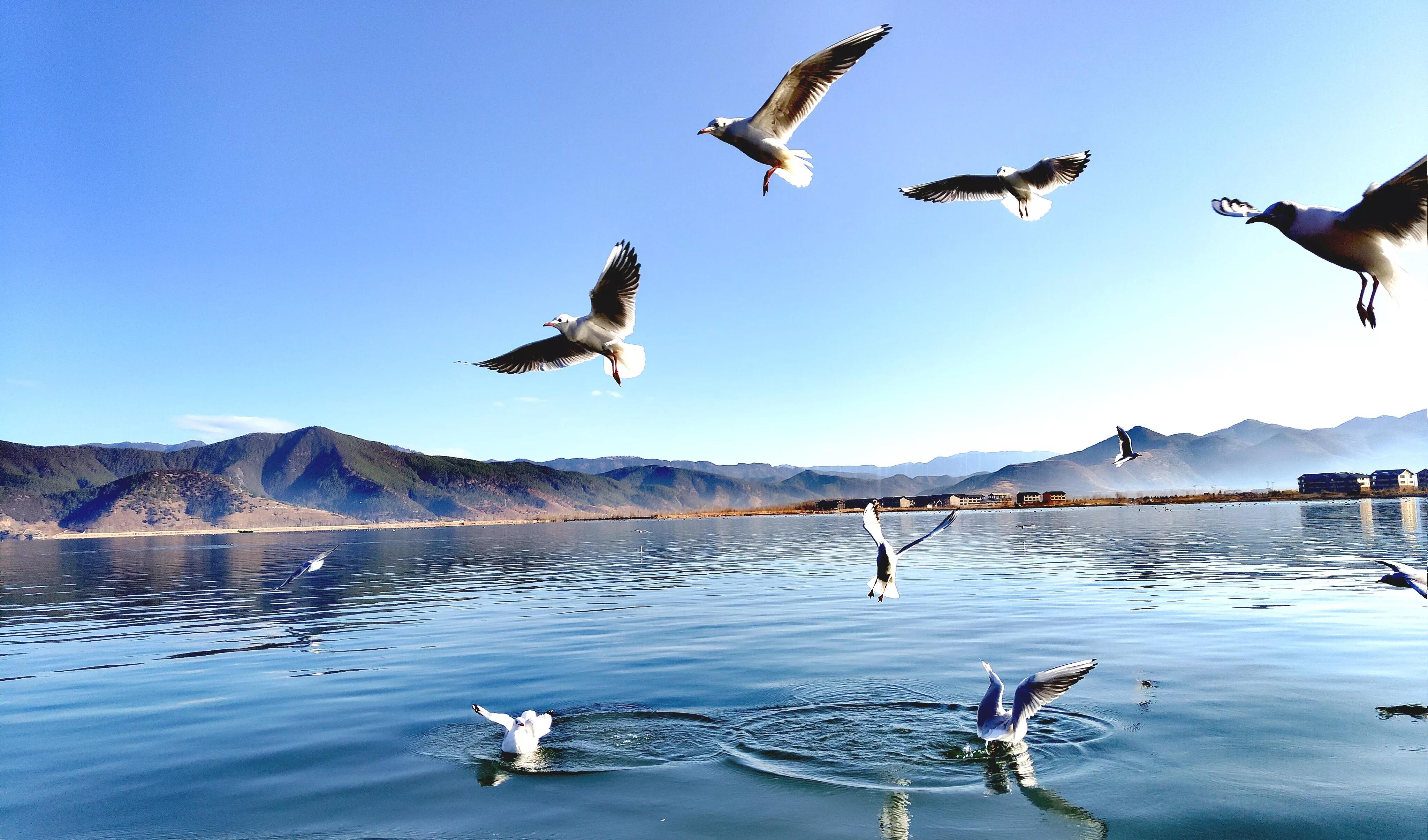 寒冬里的一抹温暖散文,这个冬天有你真温暖散文