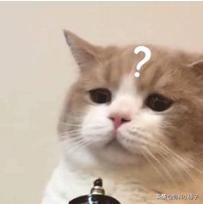 「羞羞」的地方有味道，怎一个尴尬了得