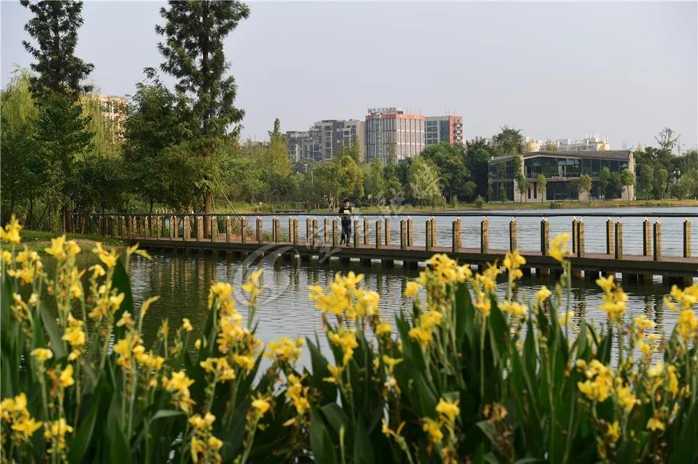 2020年4月成都双流赏花地点,双流踏青赏花地