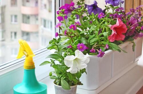 过期药的妙用,过期药品的妙用有哪些