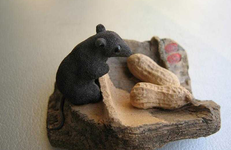 如斯成语是什么意思,逝者如斯成语有哪些