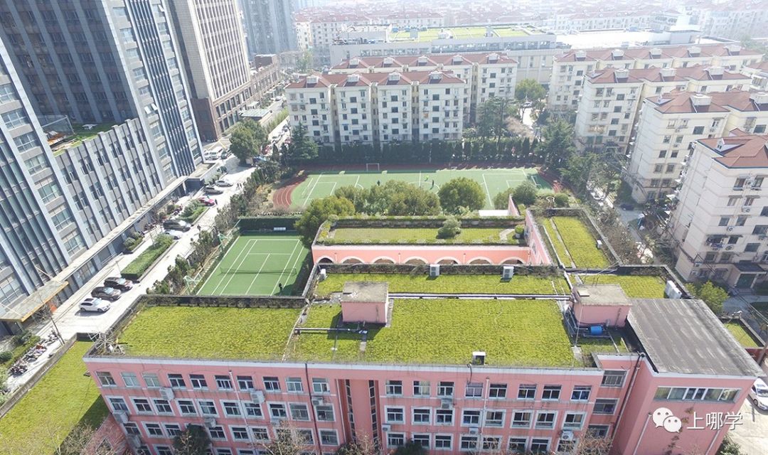 上海十所小学黑马逆袭,上海最厉害的十大小学