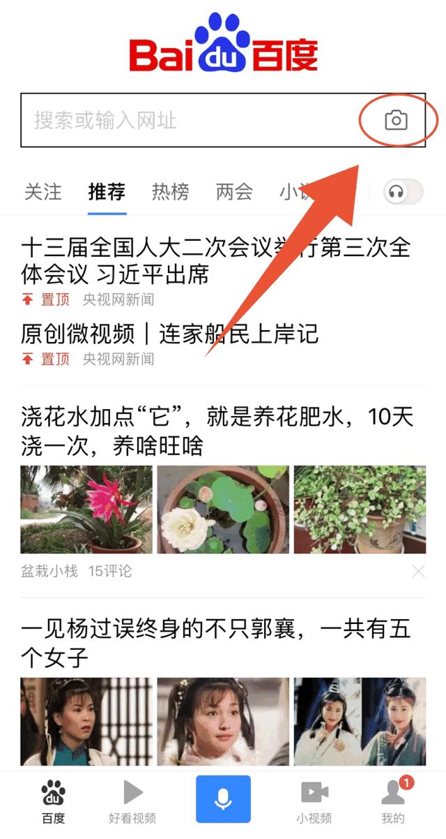 为什么今天都在发“想要你栽在我手里”?难道因为她们手里有土?