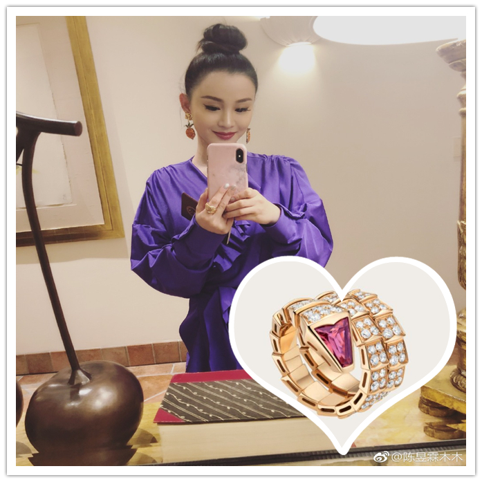 陈昱霖的奢侈品,陈昱霖同款珠宝包