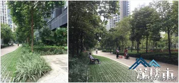 深圳的这个区域，为什么被看好？