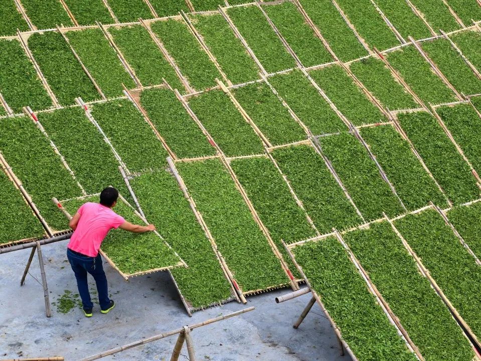 记忆中的宁德美食,福建宁德吃海鲜去哪里
