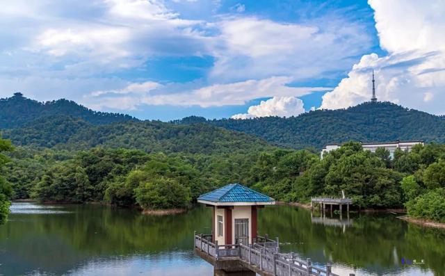 安徽的颜值为什么这么高,安徽的大美风光