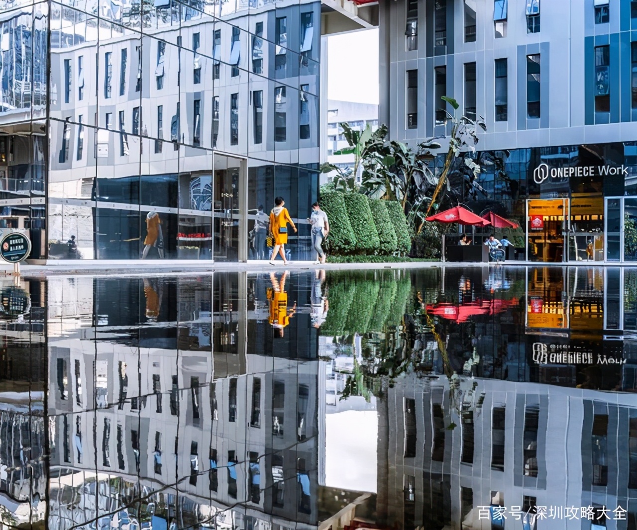 36岁程序员年薪40万,深圳程序员35岁真的会被辞退吗