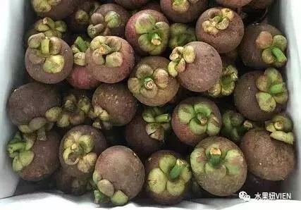 山竹外壳上怎么会有好多黄点,山竹上面黄点是什么