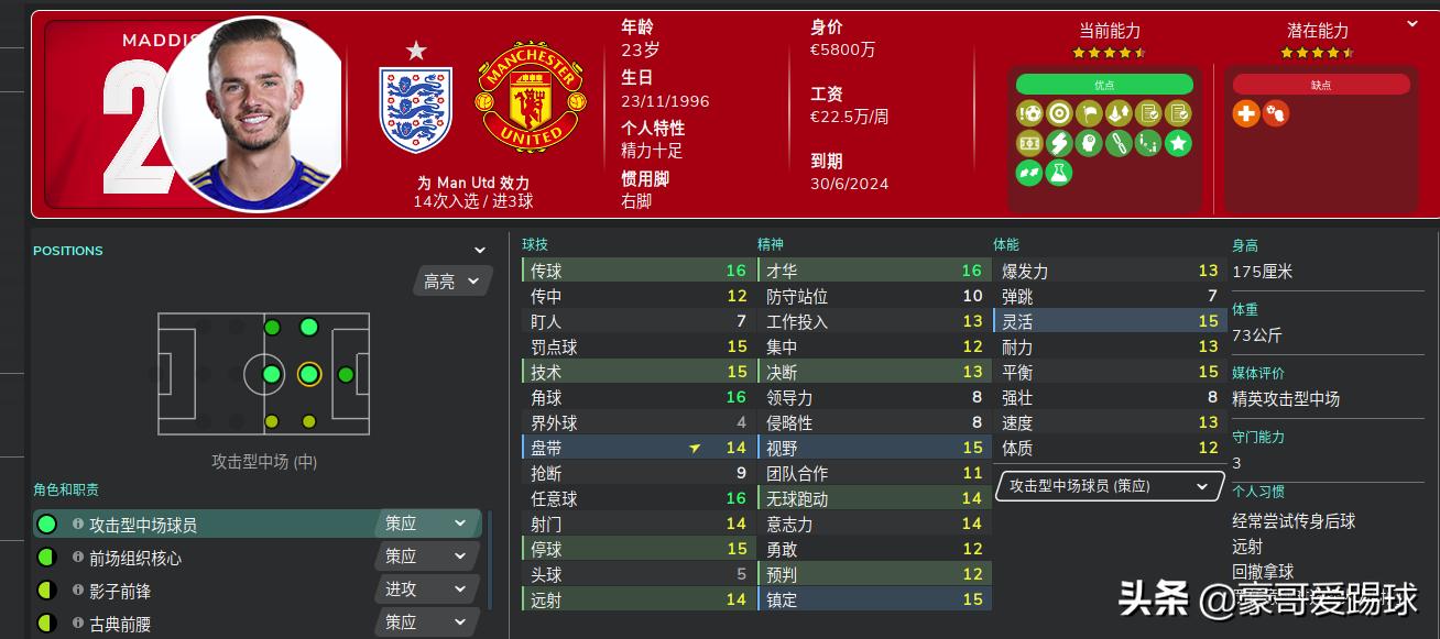 fm2020足球经理有手机版吗,足球经理2021曼联阵容