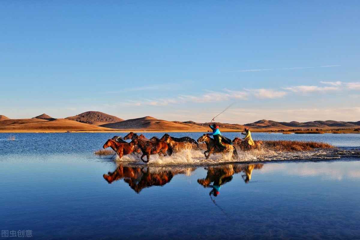 半导体龙头老大排名,半导体显示领域龙头企业