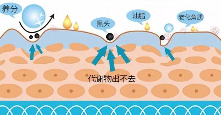 新手刷脂一个月的变化,干皮新手a醇精华