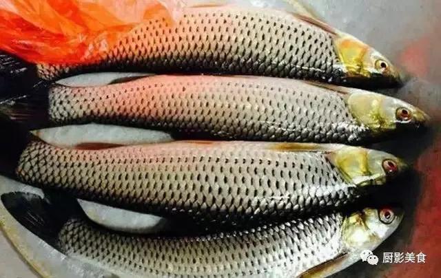 吃海鲜也要讲究时令,吃海鲜最佳的季节是什么时候