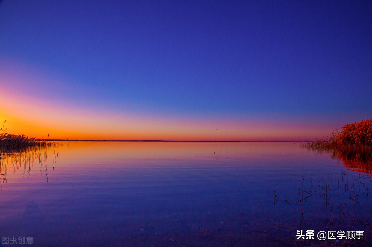 中医专家安阿玥,安阿玥医术