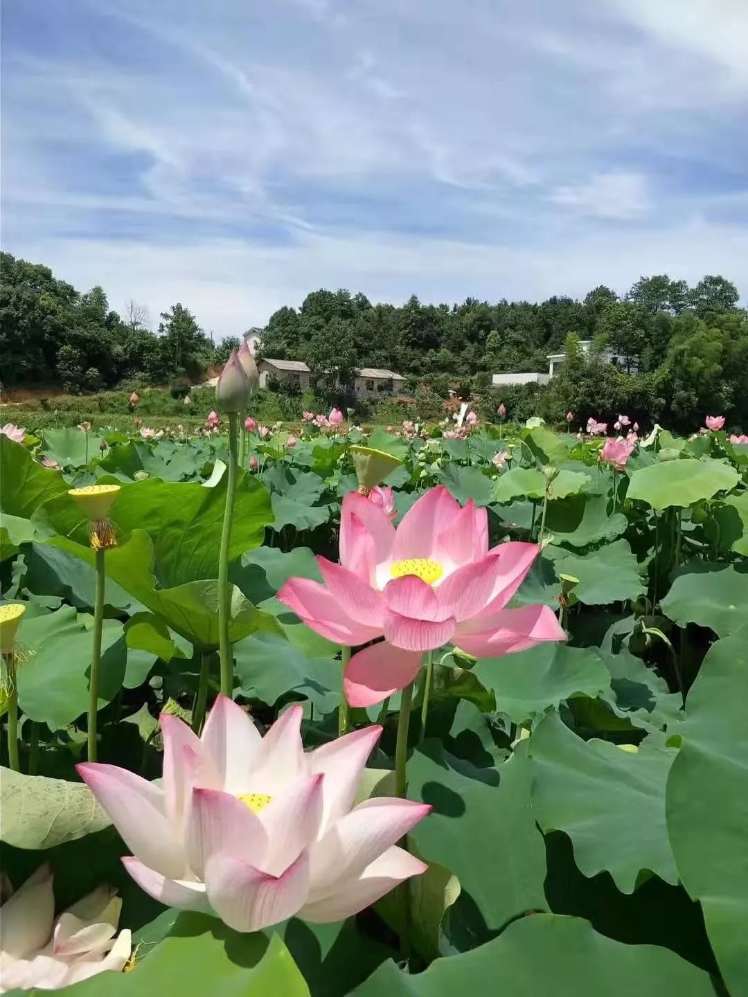 长沙团建烧烤岳麓区,长沙团建烧烤推荐地方芙蓉区