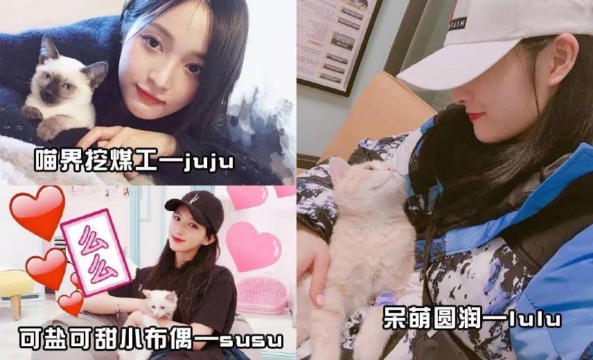 盘点那些甜甜的猫狗cp,猫狗cp高甜