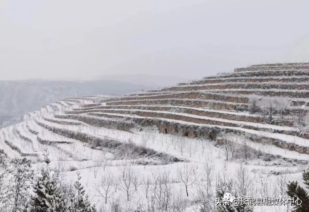 大美长武全部视频,把大好河山收藏