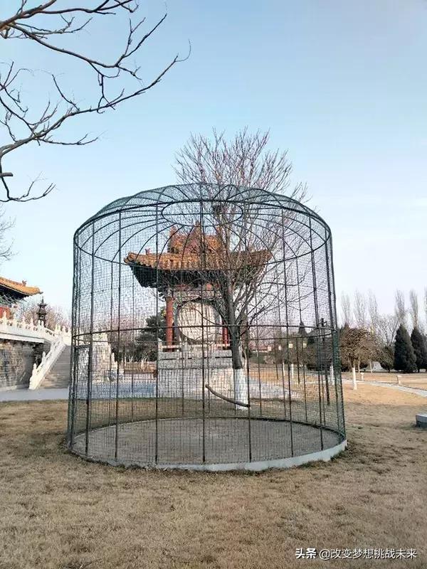 又一直销巨头出事,10亿“宫殿”被曝光!