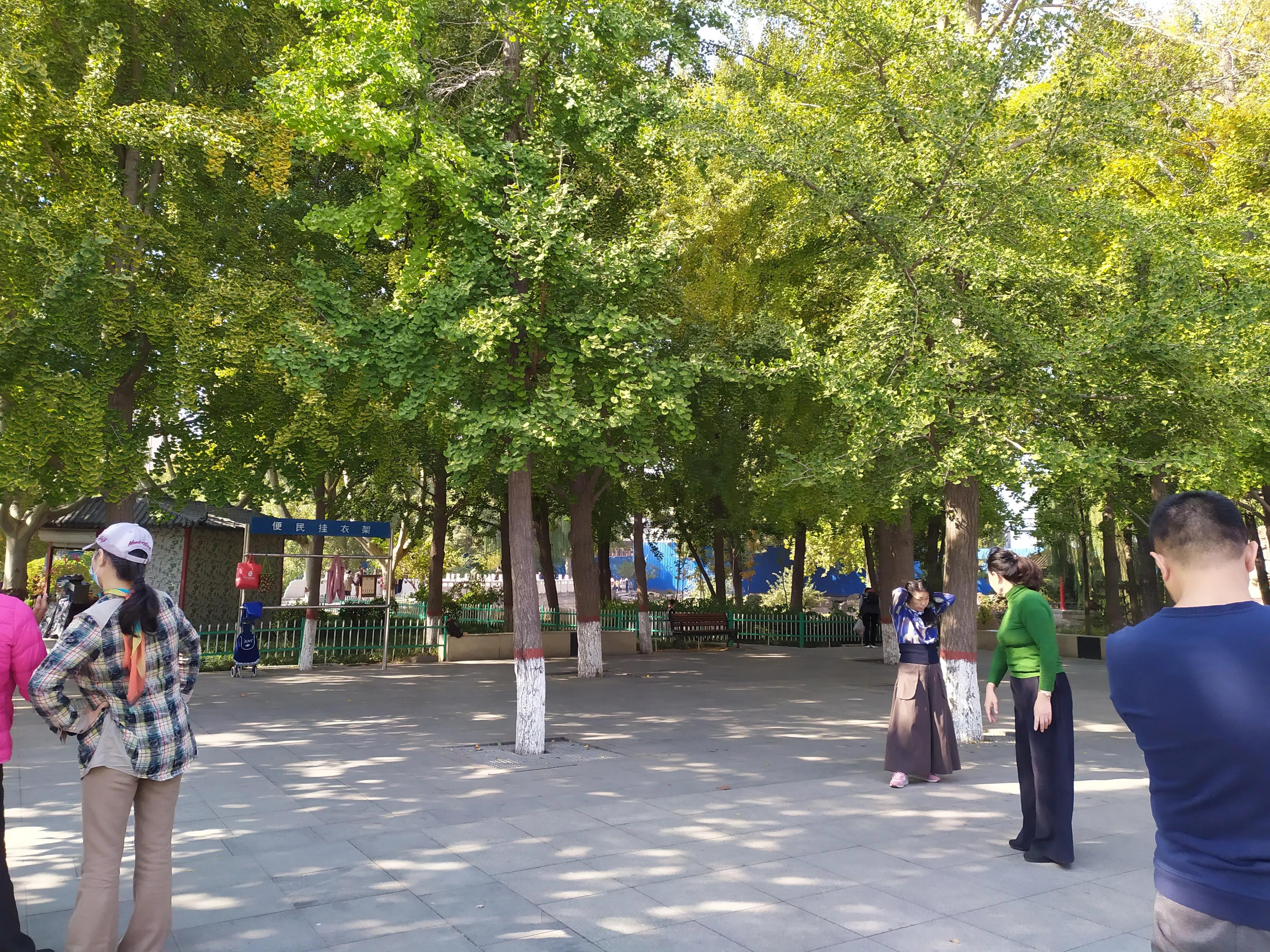 裕西公园秋天的景色,裕西公园的特色