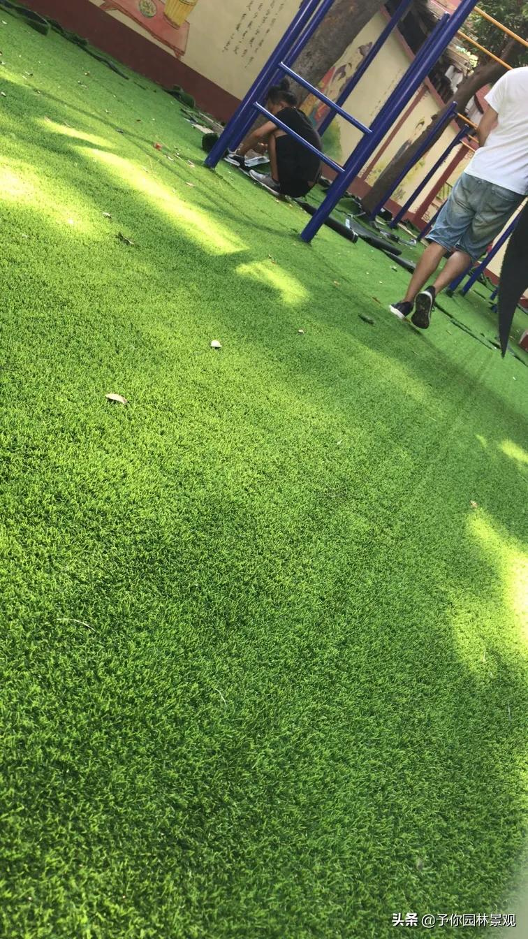 泉州学校人造草皮价格,泉州草坪修复