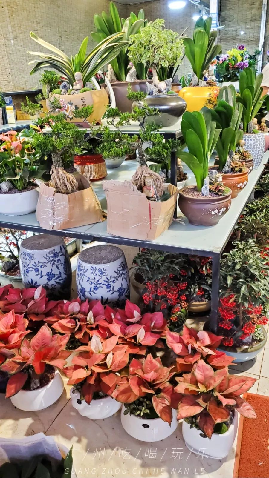 快收藏攻略,快收藏干货