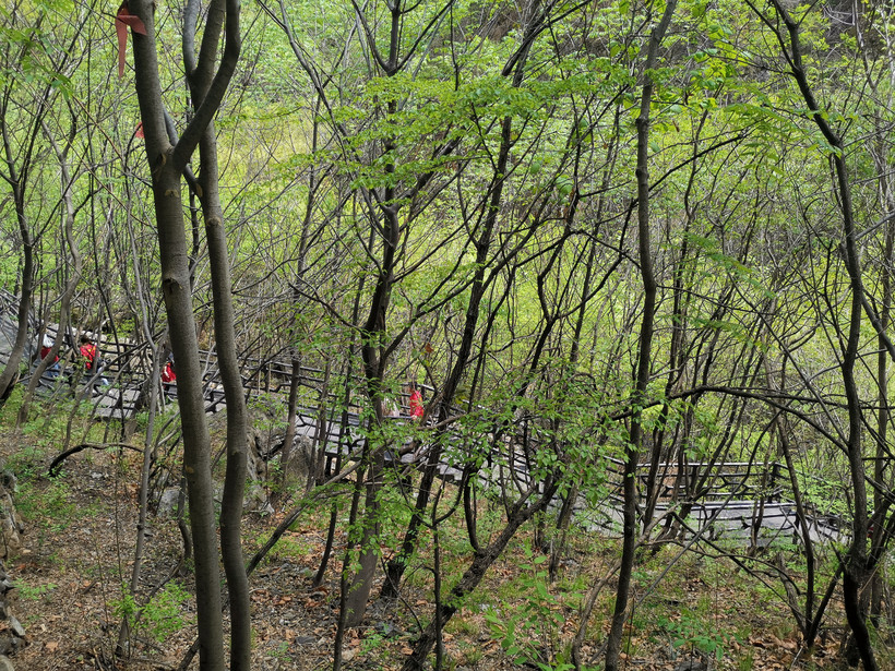 北京周边旅游野鸭湖攻略,北京东湖港旅游攻略