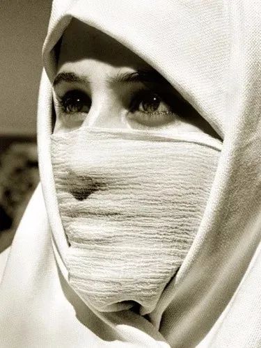 albertwatson鎽勫奖,albert鏃跺皻