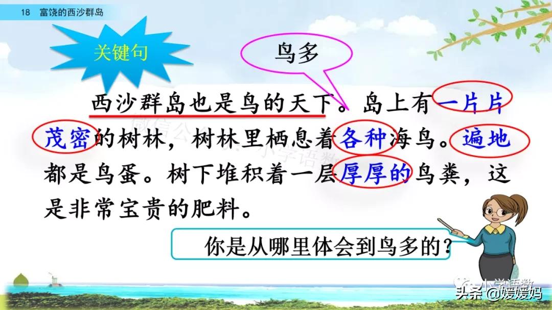 三年级第18课富饶的西沙群岛视频,三年级上册18富饶的西沙群岛笔记