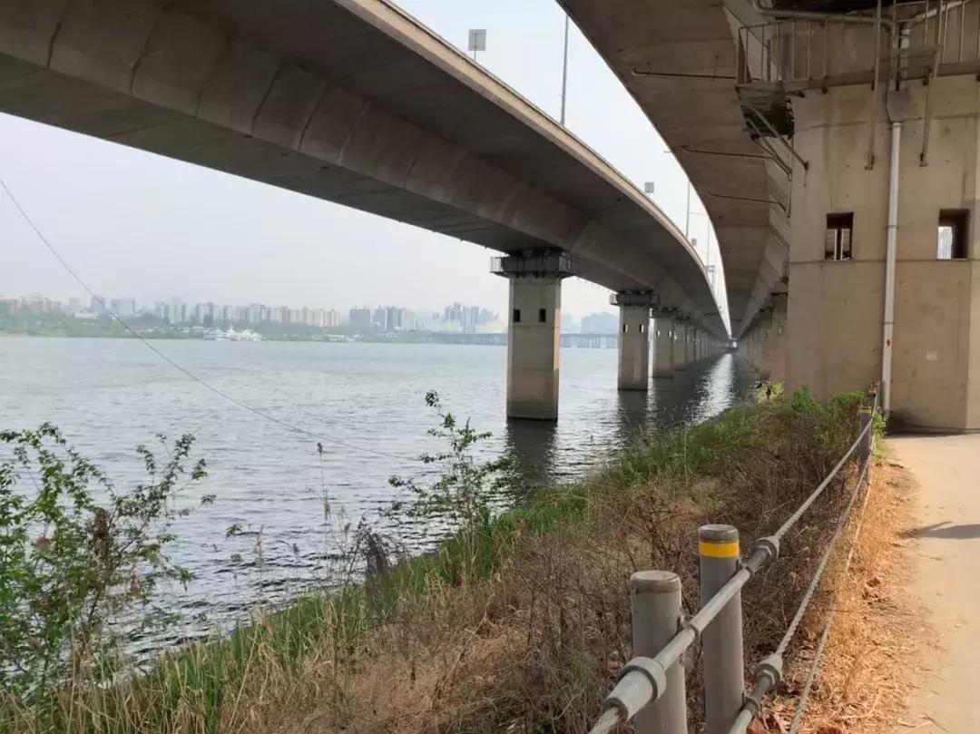 自己去韩国买便宜还是代购便宜,去韩国代购怎么走便宜