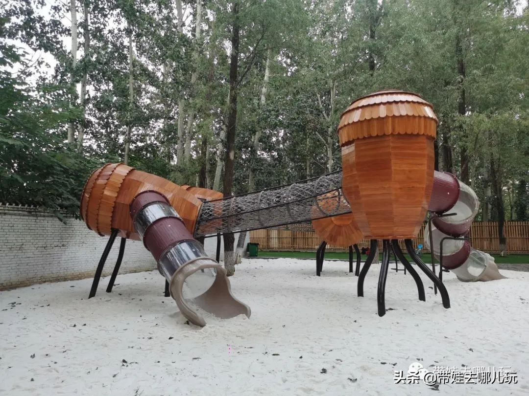 北京五环内新开萌宠乐园，除了喂动物，还能玩大滑梯、免费享帐篷