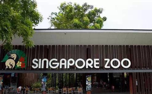 新加坡沙滩旅游景点,新加坡十个必去的旅游景点