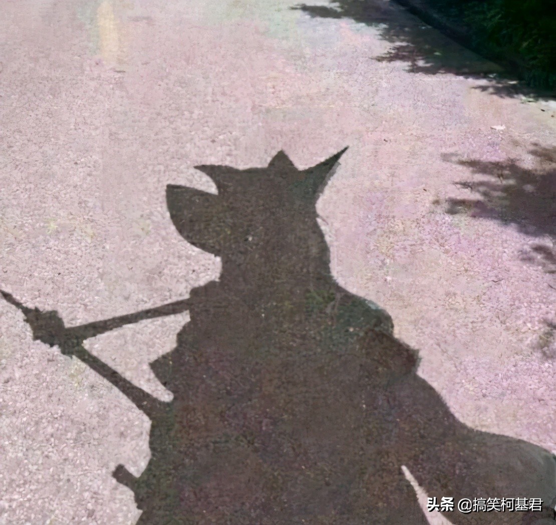 ps搞笑图对比,大神级的ps恶搞图片