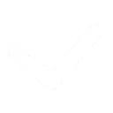 松溪县妇联召开2020年乡（镇、街道）妇联主席工作会议