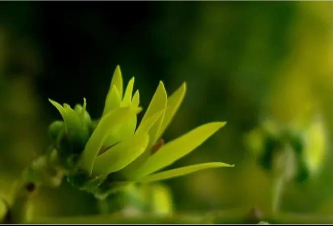 绉嬫棩绗旇鐩存挱,绉嬫棩绗旇