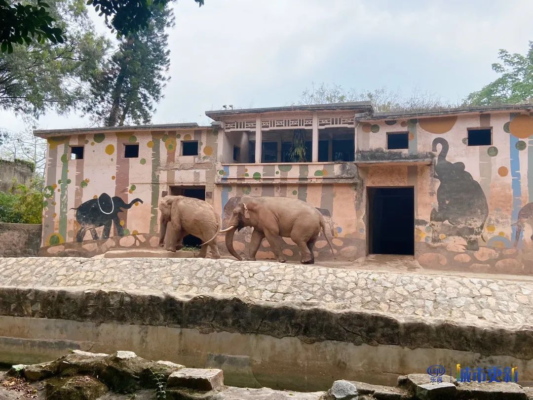 广州动物园什么时候搬迁,广州动物园搬迁