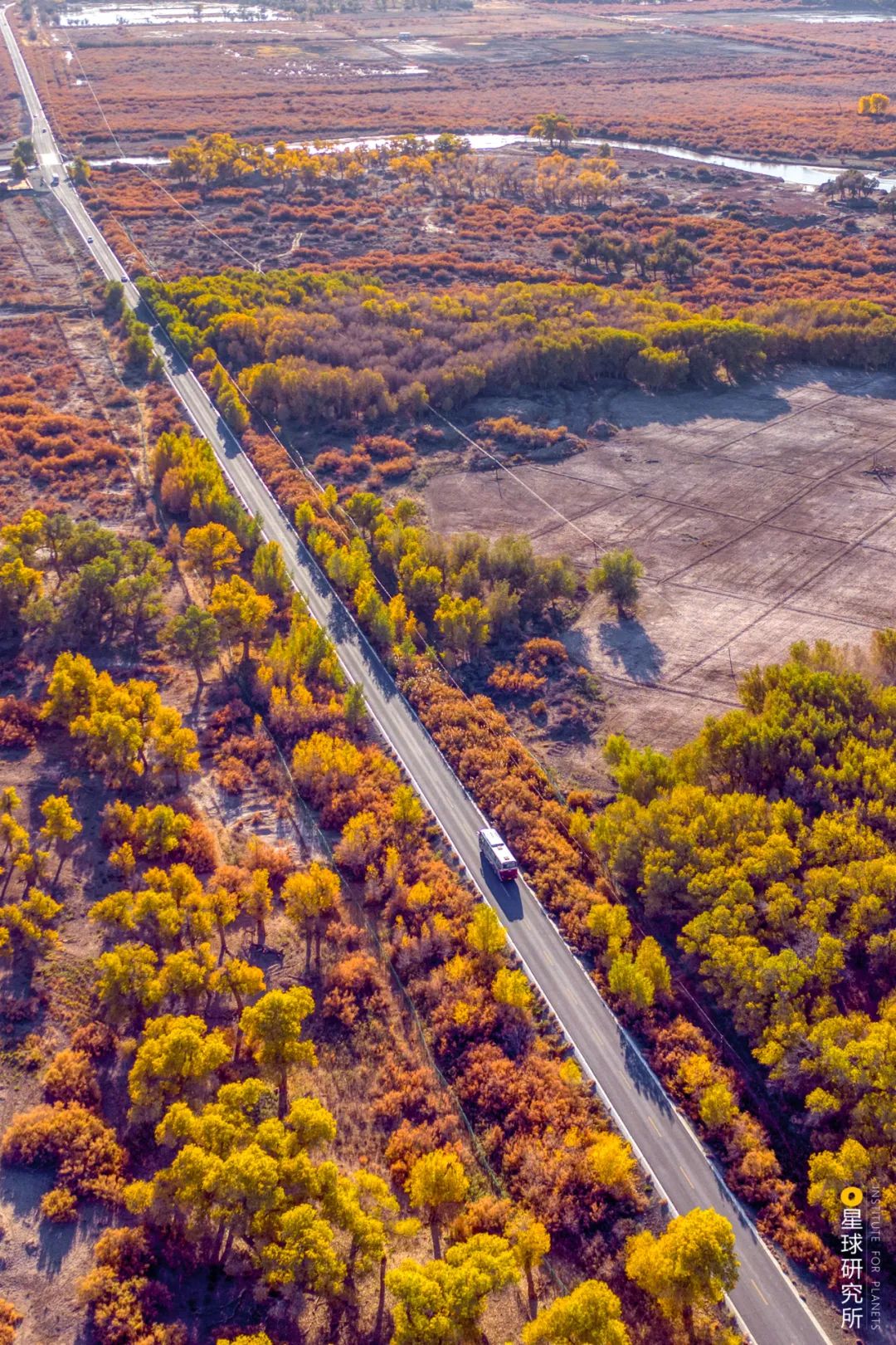 中国植树造林成果国外有什么看法,植树造林改造沙漠