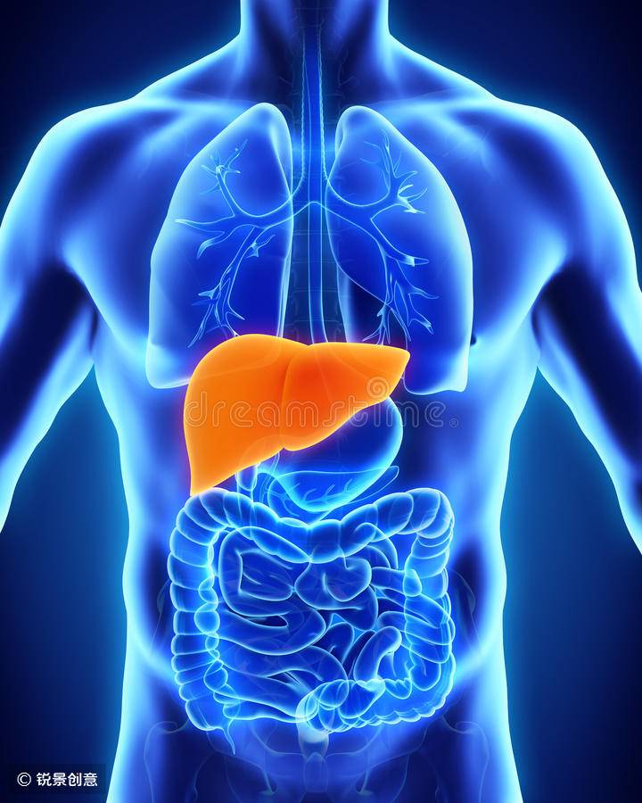 丙酚替诺福韦taf,丙酚替诺福韦乙肝转阴概率